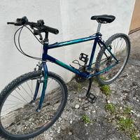 Bici Rodesco Motobike