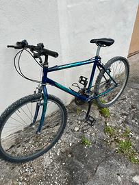 Bici Rodesco Motobike