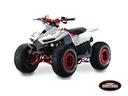 lem-motor-quad-grizzly-110cc