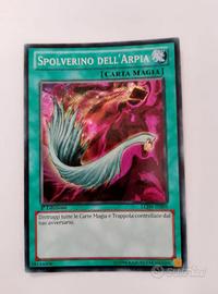 spolverino dell'arpia 