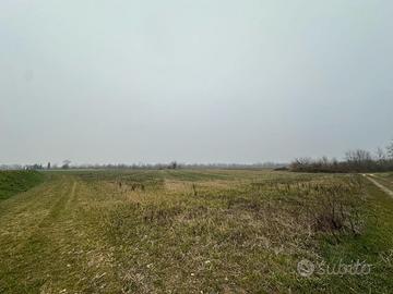 LOTTI DI TERRENO AGRICOLO