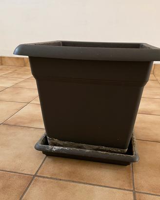 Vaso elegante per piante o alberi