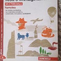 Testo e immaginazione ISBN 9788808301154