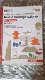 Testo e immaginazione ISBN 9788808301154