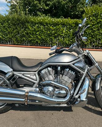 HARLEY DAVIDSON Vrod 1250