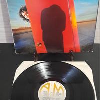 Albert lee hiding lp
