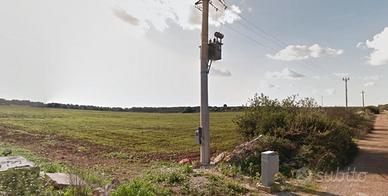 Vendita terreno seminativo + uliveto 15,5 ettari