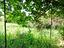Immagine 26