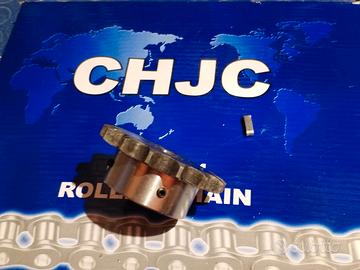 trasmissione pignone e catena 530