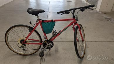 Bicicletta Specialized RockHopper Vintage