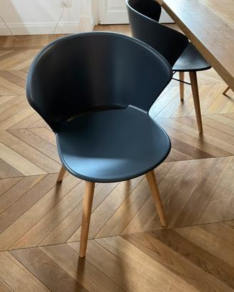 Set 6 sedie Calligaris Bahia
