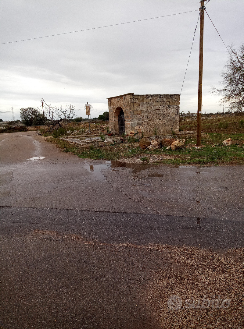 Terreno agricolo edificabile 1 ettaro a Copertino - Vista 4