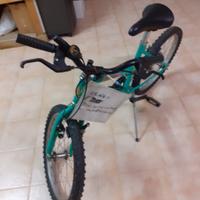 Bicicletta R20 Extreme Shadow