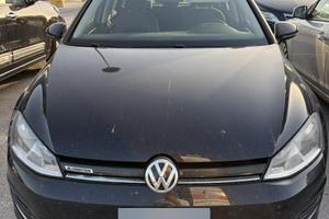 Volkswagen Golf VII 1.4 TGI Highline