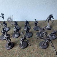 Wych Eldar Oscuri / Drukhari + Lelith Hesperax