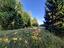 Immagine 28