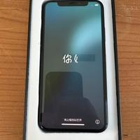 IPHONE XS 512GB BATTERIA NUOVA 100%
