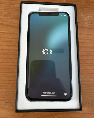 IPHONE XS 512GB BATTERIA NUOVA 100%