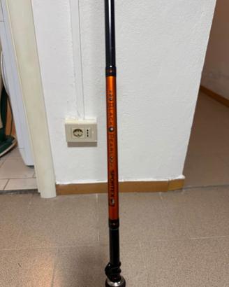 Canna spinning Sportex Black Pearl