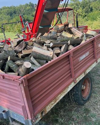 Legna tagliata