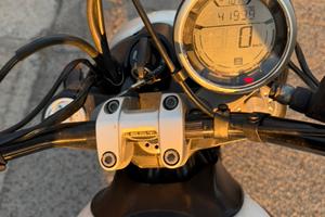 Ducati scrambler icon 2017