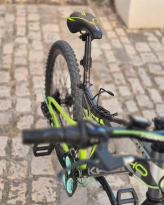 Bicicletta 