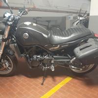 Benelli Leoncino 500 - 2021