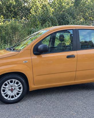 Fiat Panda 1.0 FireFly S&S Hybrid*SOLO 17000km*