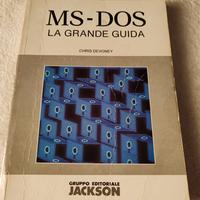 Libro ZX Spectrum e MS DOS 1980 Leggere