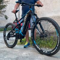 Ebike Bottecchia