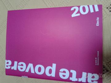 Libro : arte povera 2011 Catalogo della mostra (To