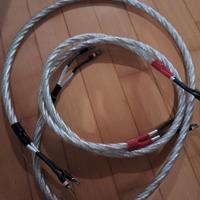 QED Genesis Silver Spiral, 2mt - forcelle