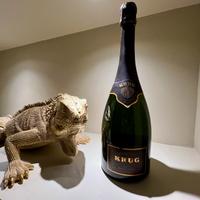 Champagne BRUT 🥂  KRUG Collection 1995 (NUMERATA)