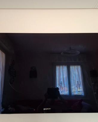 Sony Bravia 46" Monolithic Design - Vetro Gorilla