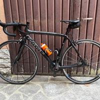 Wilier Triestina Full Carbon