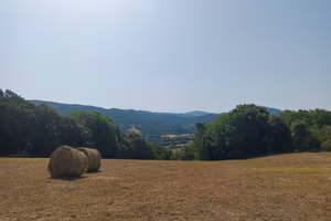 TERRENO da 12.565 m2 in TOSCANA