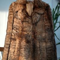 Pelliccia di Felis chaus