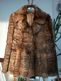 Pelliccia di Felis chaus