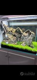 Pietre x acquario 