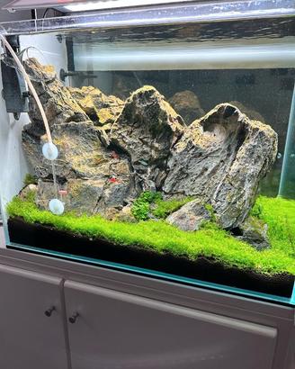 Pietre x acquario 