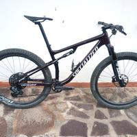 Specialized Epic Expert .TG L