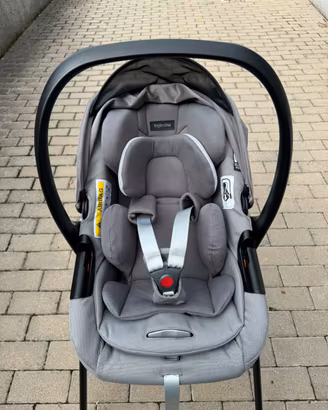 Trio Inglesina aptica