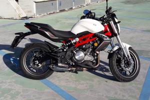 Benelli BN 302 - 2017