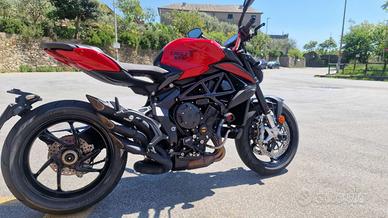 MV Agusta Brutale 800 - 2023