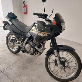 Honda Dominator 650 RD08 1999, ASI a libretto