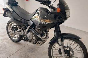 Honda Dominator 650 RD08 1999, ASI a libretto