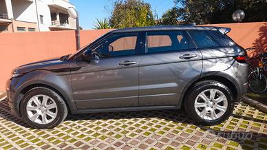 Renge Evoque 