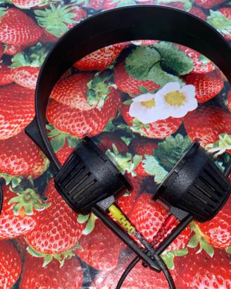 Cuffie SENNHEISER HD 414 Serie Gold anni 80