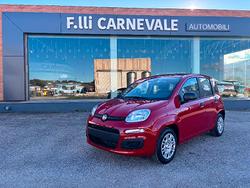 FIAT Panda 3ª serie Panda 1.0 FireFly S&S Hybrid