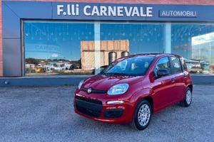 FIAT Panda 3ª serie Panda 1.0 FireFly S&S Hybrid